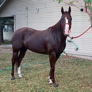 Meet your Posher, Ashlee